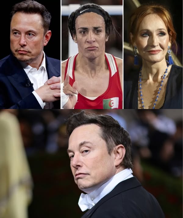 The Richest Man In The World, Elon Musk Launches The Biggest Media Campaign Ever With Jk Rowling At The Helm To Destroy Imane Khelif And The Entire L/g/b/t Group That Likes To Participate In Women’s Sports