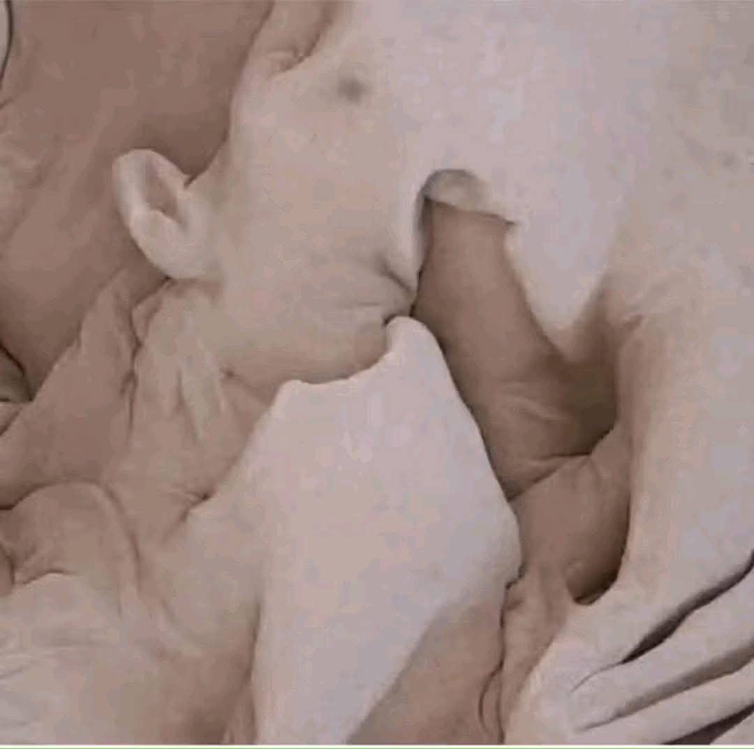 8Steps to Make a Woman Orgasm in Less Than a Minute